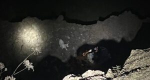 O cabritinho reencontra sua mãe. Depois de cair em uma pedreira em Oregon