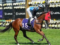 Dicas e insights sobre a corrida de Randwick no sábado