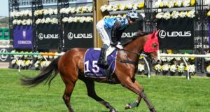 Dicas e insights sobre a corrida de Randwick no sábado