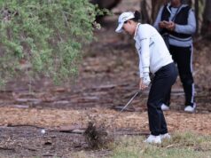 Manji Lee se junta ao irmão na Tiger Indoor Golf League