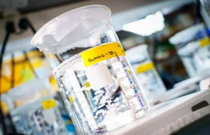 O revolucionário biomaterial cura os tecidos por dentro