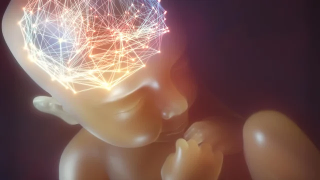 brain-neural-network-human-baby-in-womb.webp.webp