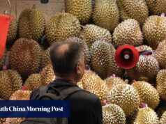 O Expresso Durian? Novo serviço ferroviário do Sudeste Asiático reduz preços de frutas na China