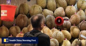 O Expresso Durian? Novo serviço ferroviário do Sudeste Asiático reduz preços de frutas na China