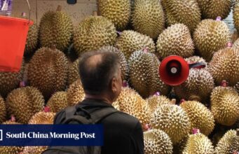 O Expresso Durian? Novo serviço ferroviário do Sudeste Asiático reduz preços de frutas na China