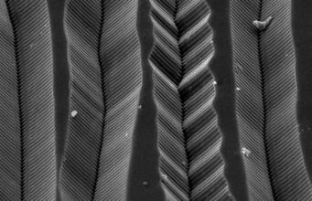 Como o vinil quadrofônico coloca quatro canais em uma única ranhura? Veja através do microscópio eletrônico e do assento