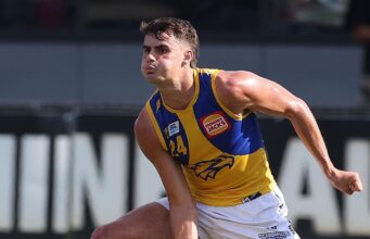 O jovem atacante da Costa Oeste, Harvey Johnston, está tendo uma rara chance sob o comando do técnico dos Eagles, Andrew McAlter