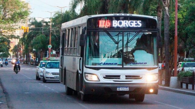 colectivo-523909-212643.jpg