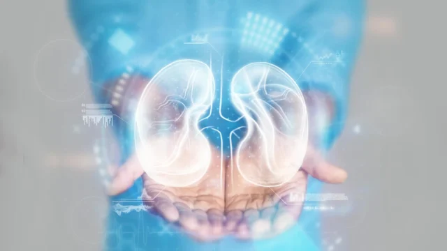 doctor-hands-kidney-health.webp.webp