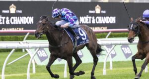 Pride Of Jenni encontra Half Sat para uma revanche da Dobbin Cup no menor campo deste século