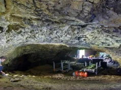 DNA antigo revela como as mulheres ajudaram a mudar a Europa pré-histórica