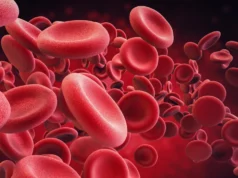 Cientistas estão rejuvenescendo células-tronco velhas do sangue, em um grande avanço anti-envelhecimento