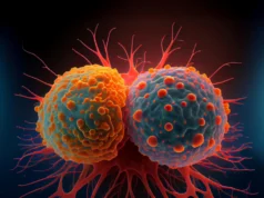Cientistas estão levantando novas questões sobre vitamina B12 e câncer