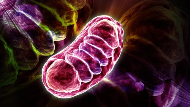 glowing-mitochondria-cell-biology.webp.webp