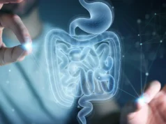 Cientistas do MIT descobrem aminoácido que ajuda a reparar o intestino