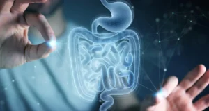 Cientistas do MIT descobrem aminoácido que ajuda a reparar o intestino