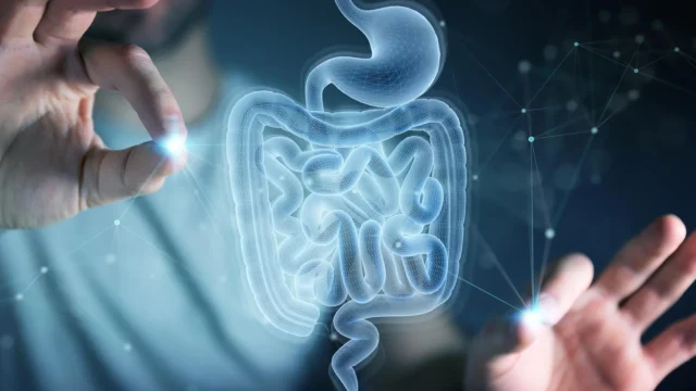 human-intestine-holographic-scan-projection.webp.webp