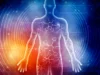 Cientistas revelaram como sete dias de jejum mudam o corpo humano