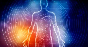 Cientistas revelaram como sete dias de jejum mudam o corpo humano