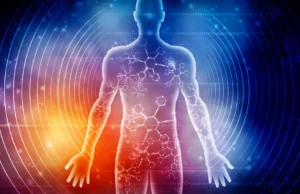 Cientistas revelaram como sete dias de jejum mudam o corpo humano