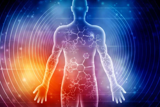 Cientistas revelaram como sete dias de jejum mudam o corpo humano