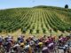 O Women’s Tour Down Under acontecerá paralelamente aos últimos três dias da corrida masculina em 2027.