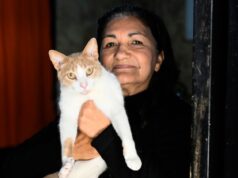 “A empatia deve estar acima de tudo”: a história de uma enfermeira com 36 anos de carreira