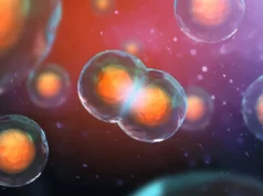 Cientistas estão descobrindo por que algumas células com DNA duplicado se recusam a morrer