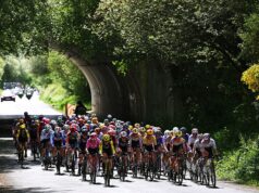 ‘Estamos profundamente preocupados’ – A Aliança dos Ciclistas responde ao pedido da UCI de consulta sobre o futuro do esporte