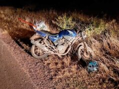 Milagre na Rota 7: Motociclista sobrevive após colisão com cavalo