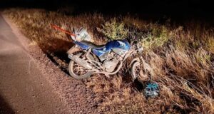 Milagre na Rota 7: Motociclista sobrevive após colisão com cavalo
