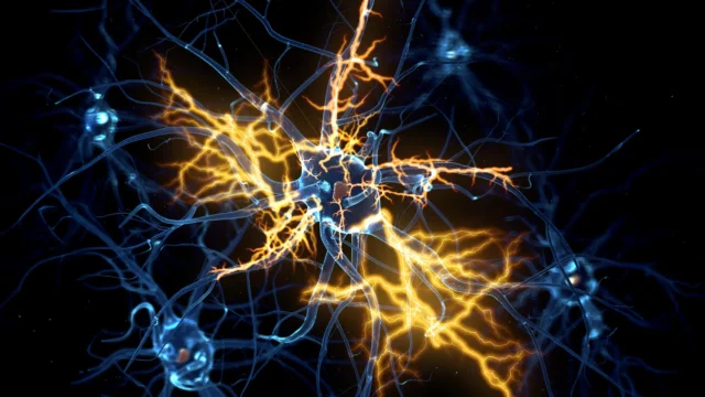 neurons-electrical-signal-regeneration.webp.webp