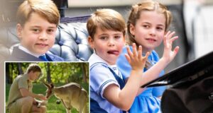 Kate, William, George, Charlotte e Louis nomearam o bebê canguru Joey, conforme revelado por Robert Irwin no Zoológico da Austrália