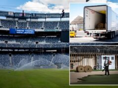 MetLife Stadium tem gramado instalado antes da Copa do Mundo de 2026