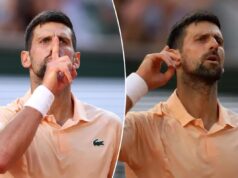 Novak Djokovic atacou a multidão no Aberto da França depois que seu saque foi interrompido