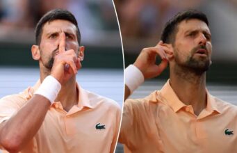 Novak Djokovic atacou a multidão no Aberto da França depois que seu saque foi interrompido
