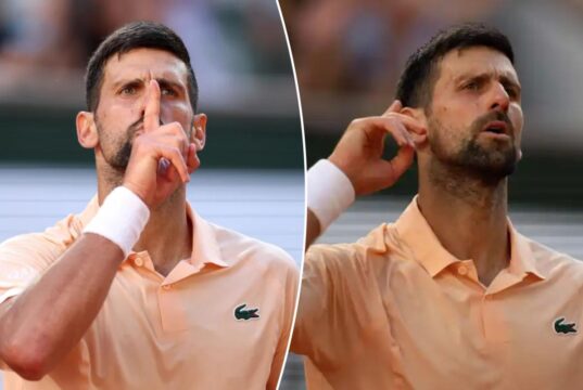 Novak Djokovic atacou a multidão no Aberto da França depois que seu saque foi interrompido