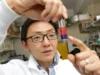 Cientistas acabam de encontrar uma maneira mais rápida e limpa de extrair lítio para baterias de veículos elétricos