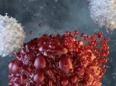 Cientistas aproveitam células assassinas naturais para combater cânceres agressivos