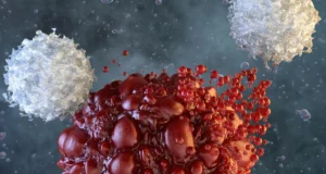 Cientistas aproveitam células assassinas naturais para combater cânceres agressivos