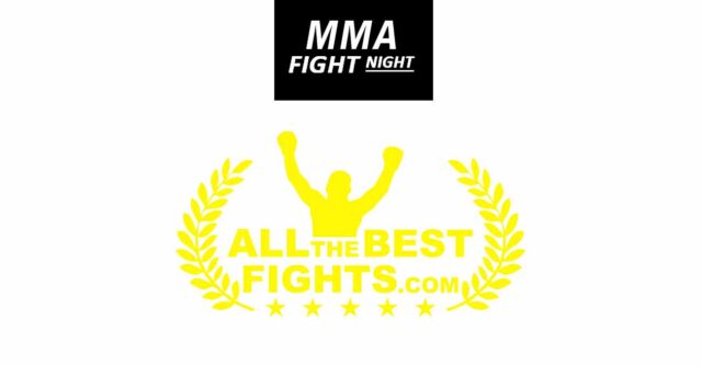 poster-ufc-fight-night-mma-by-atbf.jpg