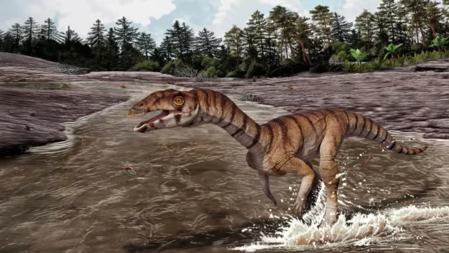 reconstruction-of-labrujasuchus-expectatus.webp.webp