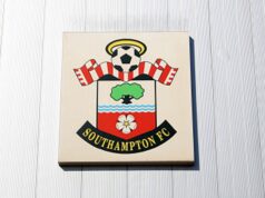 Middlesbrough x Southampton: EFL acusa Saints após membro da comissão técnica supostamente espionar treino do Boro | Notícias de futebol