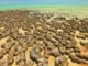 Antigas crateras de asteróides podem ter dado origem à vida produtora de oxigênio na Terra