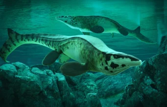 Cientistas descobrem o predador marinho gigante Tylosaurus Rex que aterrorizou oceanos antigos