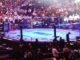 Um ex-lutador de MMA de 30 anos morreu. Depois de resgatar quatro meninas das correntes de um lago