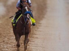 O direito de festa torna-se o terceiro Kentucky Derby, Robusta é adicionado