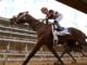 Sem Triple Crown: Golden Tempo não será executado no Preakness