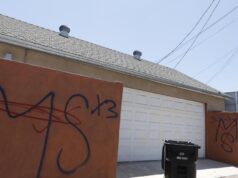 MS-13 ‘Regras de Salvador’ levou gangue a cortar o coração de uma pessoa, dizem os promotores