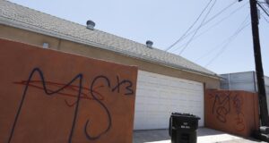 MS-13 ‘Regras de Salvador’ levou gangue a cortar o coração de uma pessoa, dizem os promotores